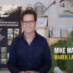 Marek Honeycomb Campaign