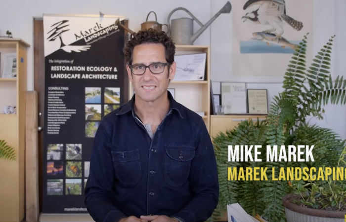 Marek Honeycomb Campaign