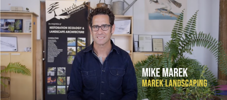 Marek Honeycomb Campaign